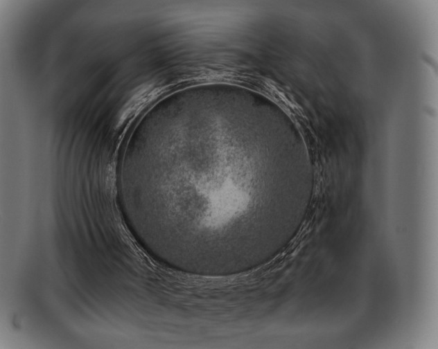 X0000092040002200709121202