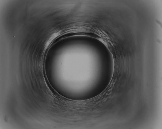 X0000092040003200709121202