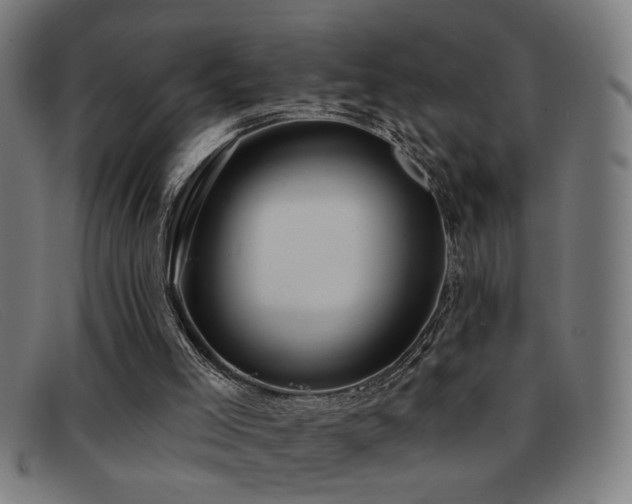 X0000092040005200709121202