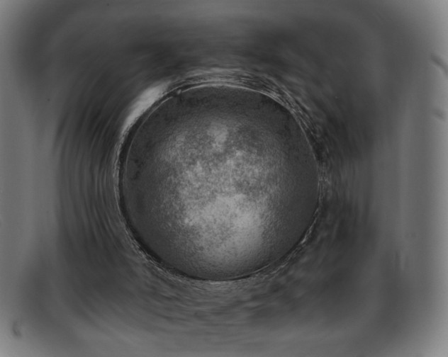 X0000092040006200709121202