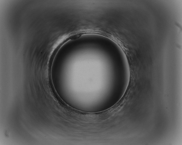 X0000092040008200709121202