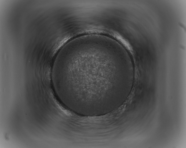 X0000092040009200709121202