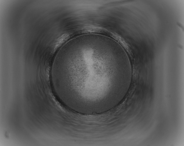 X0000092040010200709121202