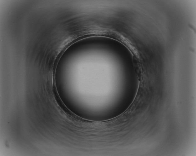 X0000092040011200709121202