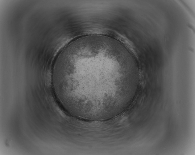 X0000092040012200709121202