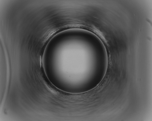 X0000092040013200709121202