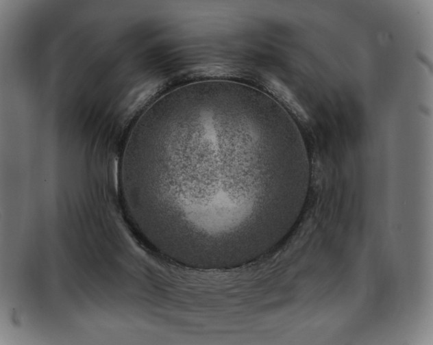 X0000092040014200709121202