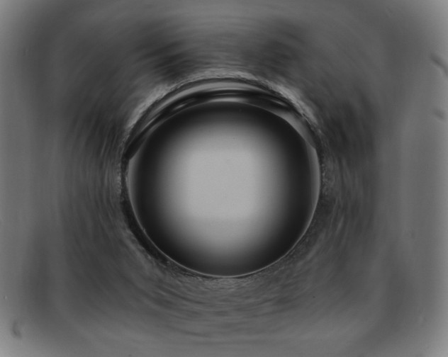 X0000092040015200709121202