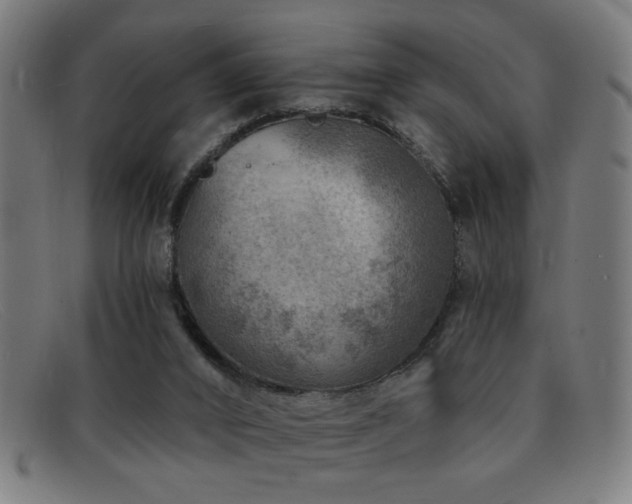 X0000092040016200709121202