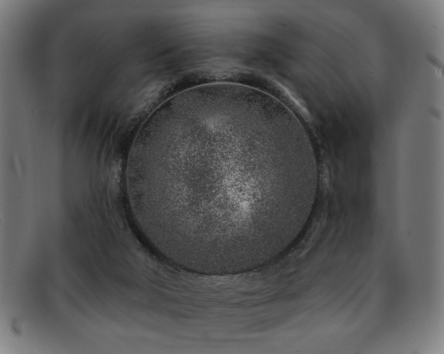 X0000092040018200709121202