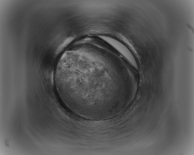 X0000092040019200709121202