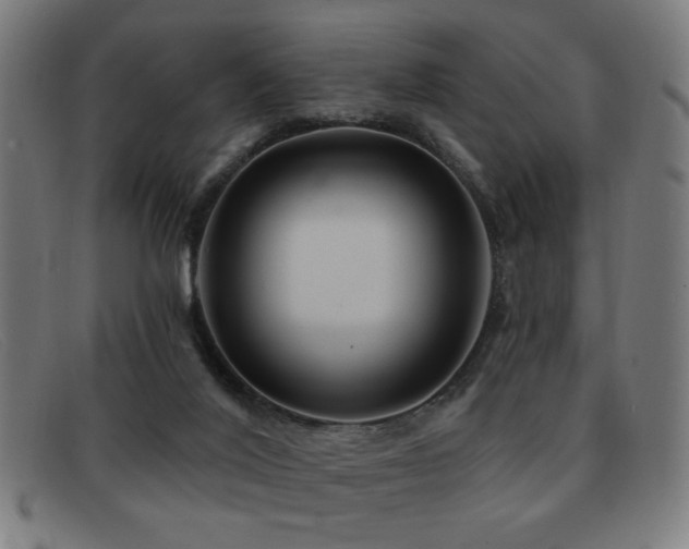 X0000092040020200709121202