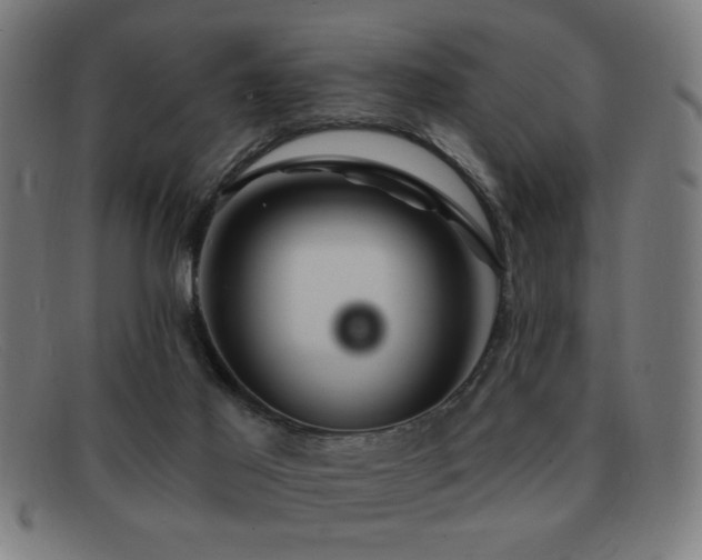 X0000092040021200709121202