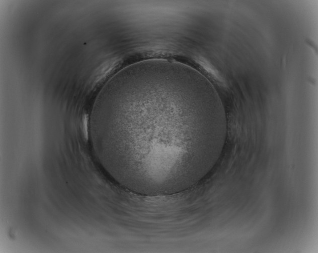 X0000092040022200709121202