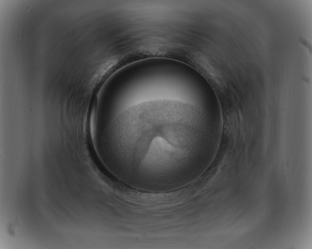 X0000092040023200709121202