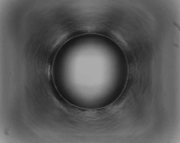 X0000092040024200709121202