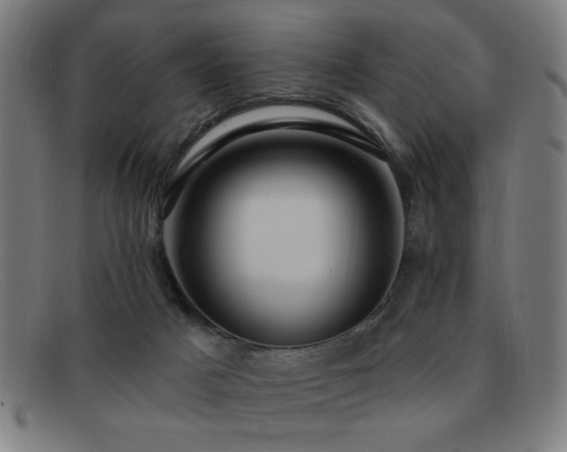 X0000092040025200709121202