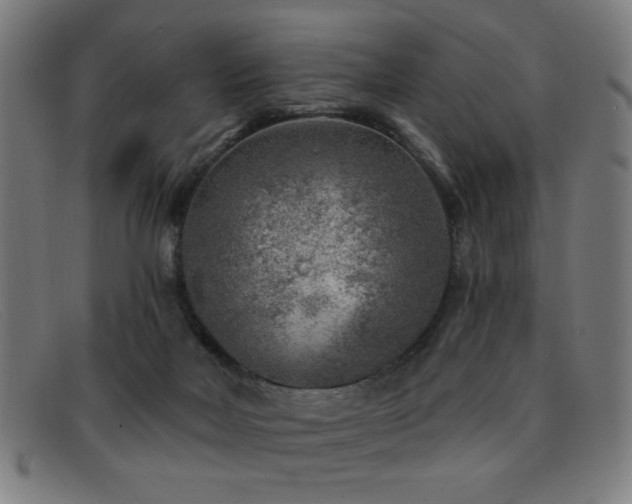 X0000092040026200709121202