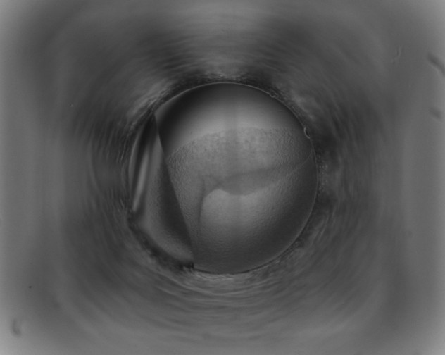 X0000092040027200709121202