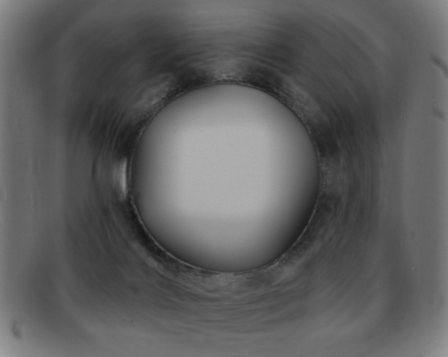 X0000092040028200709121202