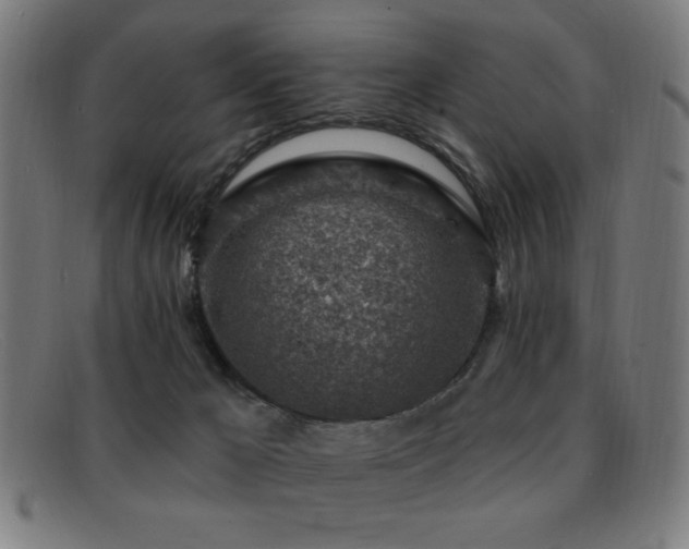 X0000092040029200709121202