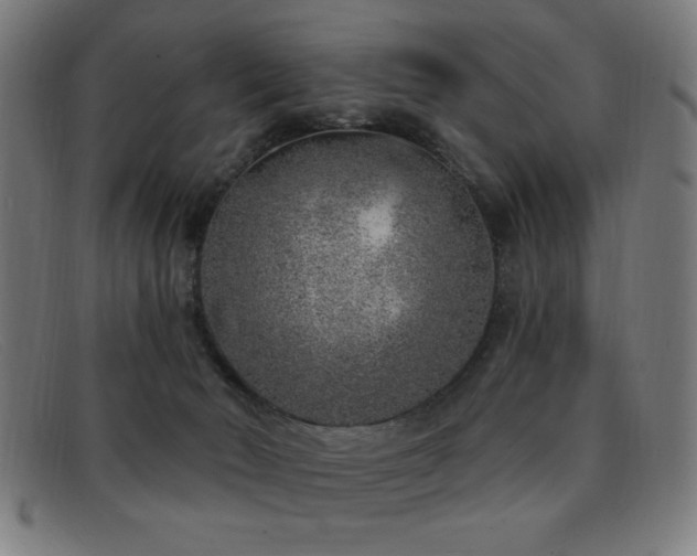 X0000092040030200709121202