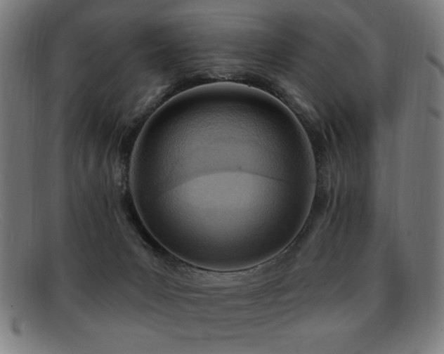 X0000092040031200709121202