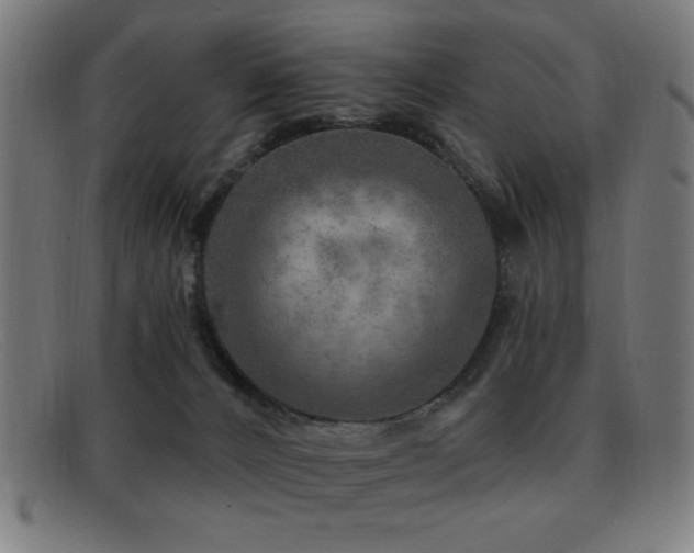 X0000092040032200709121202