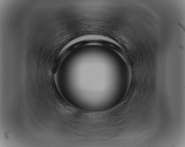 X0000092040033200709121202