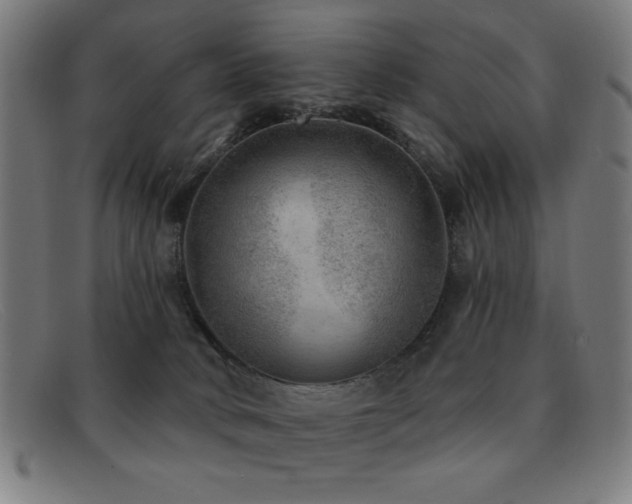 X0000092040034200709121201