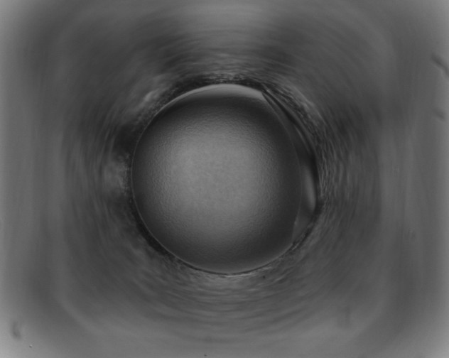 X0000092040035200709121201