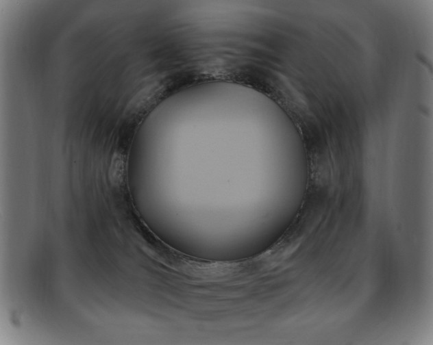 X0000092040036200709121201