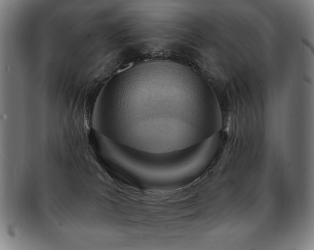 X0000092040039200709121201