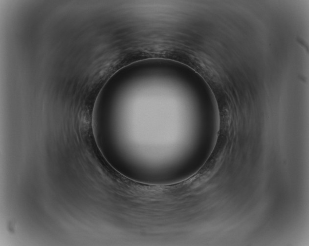 X0000092040040200709121201