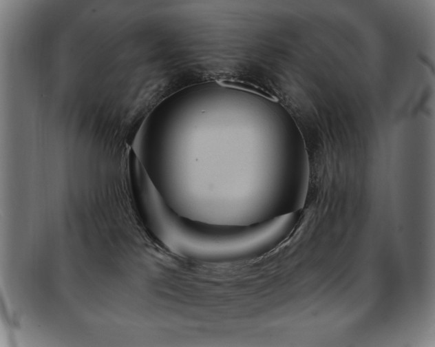 X0000092040041200709121201