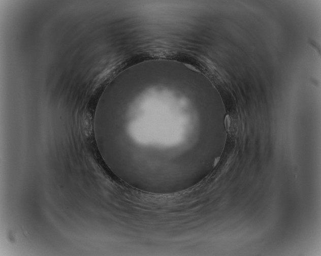 X0000092040043200709121201