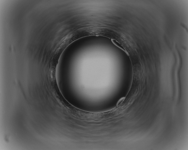 X0000092040044200709121201