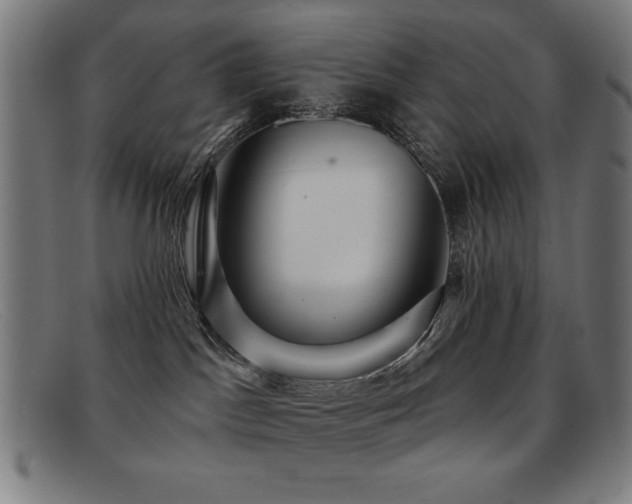 X0000092040045200709121201