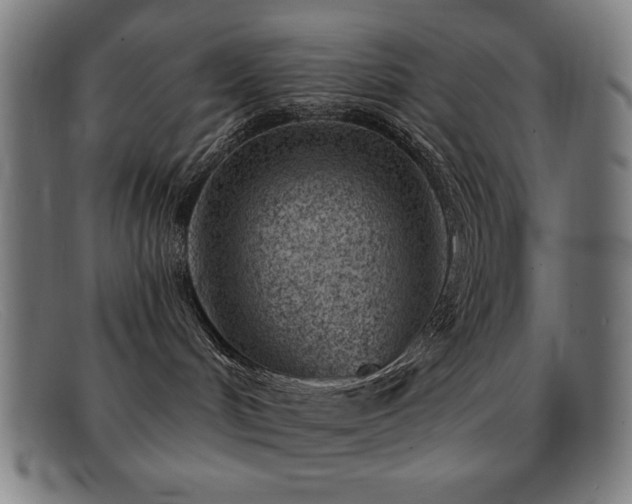 X0000092040048200709121201