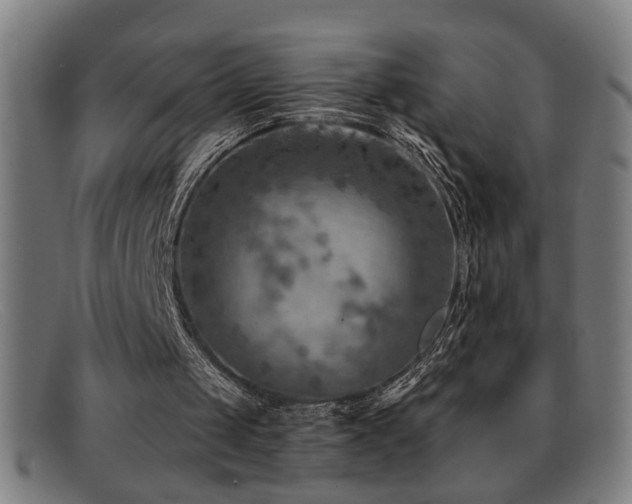 X0000092040049200709121201