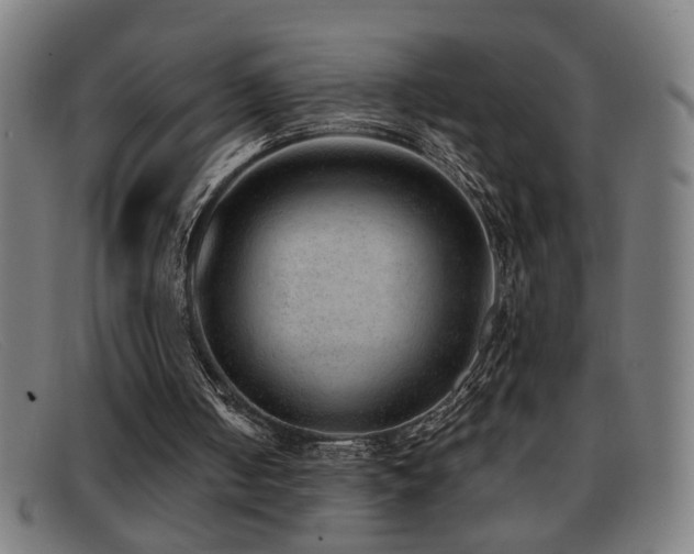 X0000092040050200709121201