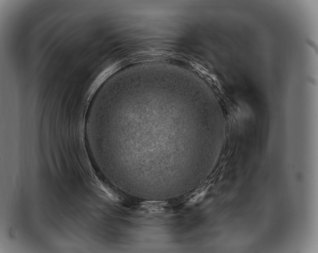 X0000092040051200709121201