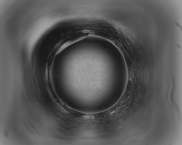 X0000092040052200709121201