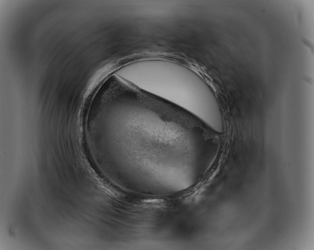 X0000092040053200709121201