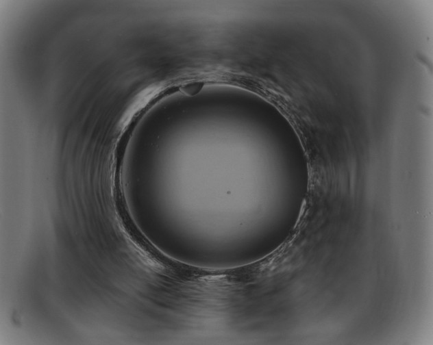 X0000092040054200709121201