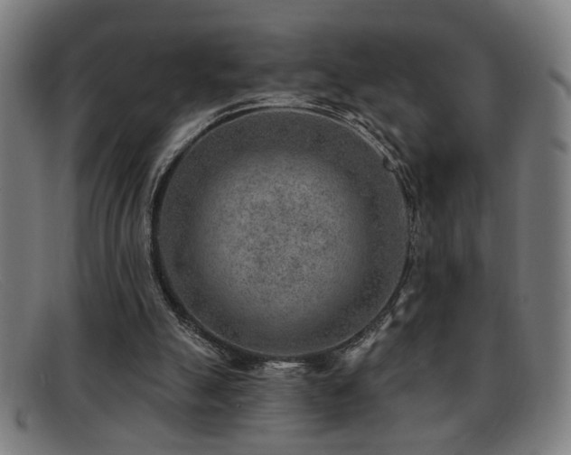 X0000092040055200709121201