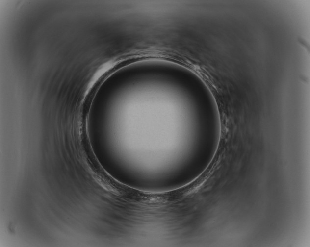 X0000092040056200709121201