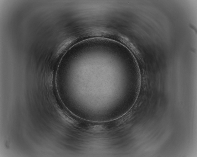 X0000092040058200709121201