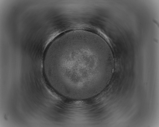 X0000092040059200709121201