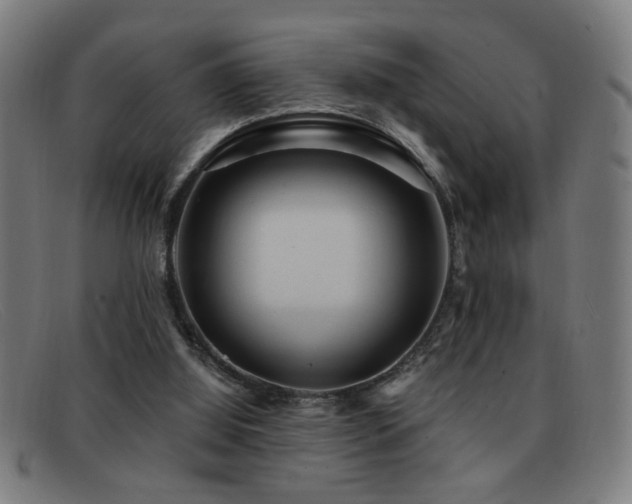 X0000092040060200709121201